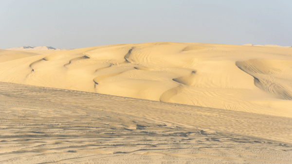 catar-2