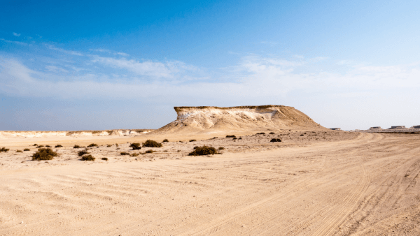 catar-5