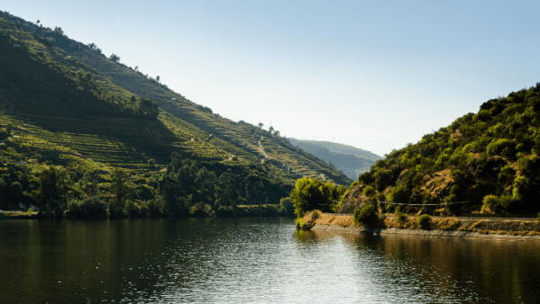 oporto 