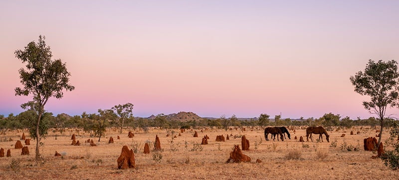 Alquiler de Coches en Mount Isa 