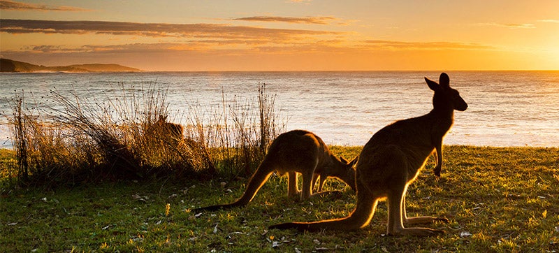 Car Hire in Gold Coast