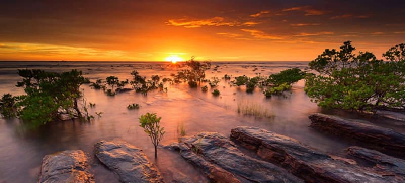 Alquiler de Coches en Darwin 