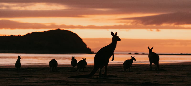 Alquiler de Coches en Mackay 