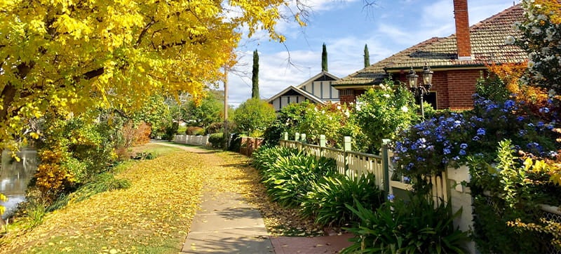 Car Hire in Wagga Wagga