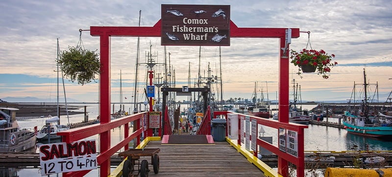 Car Hire in Comox