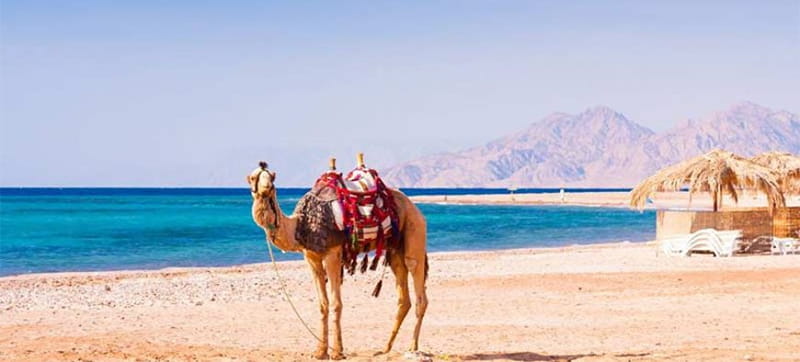 Mietwagen in Marsa Alam