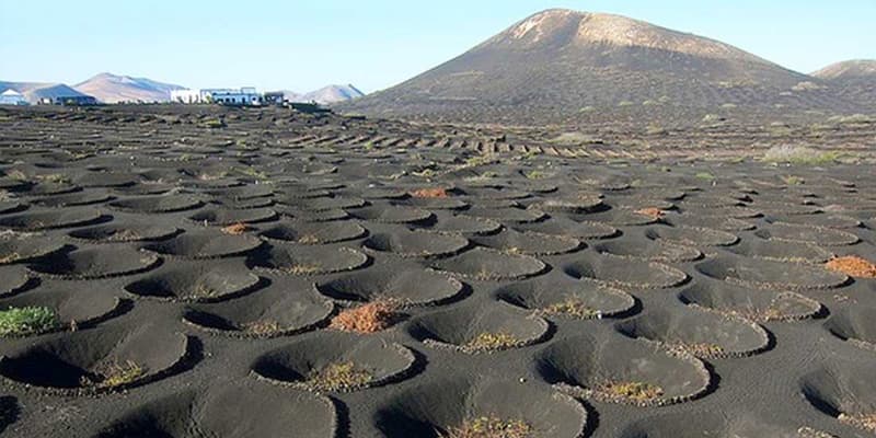 Najam Automobila u Lanzarote