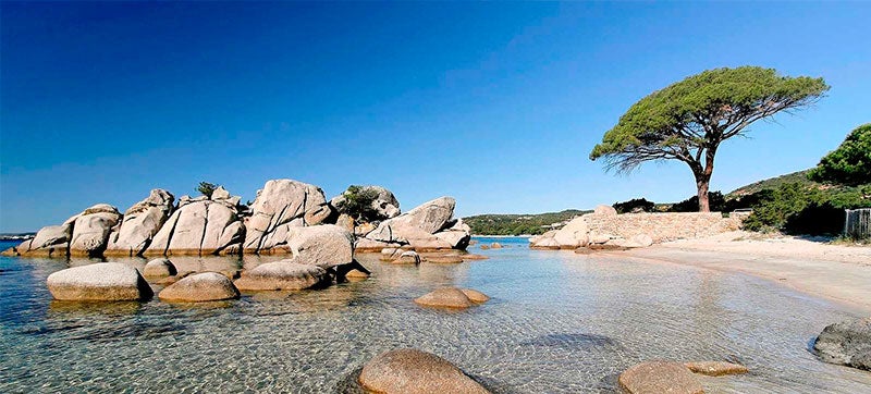 Car Hire in Figari-Sud Corse