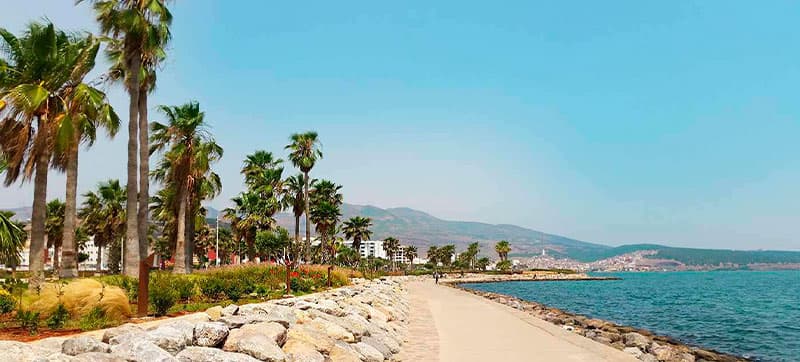 Pourquoi Louer une Voiture à Nador avec CarJet ? 
