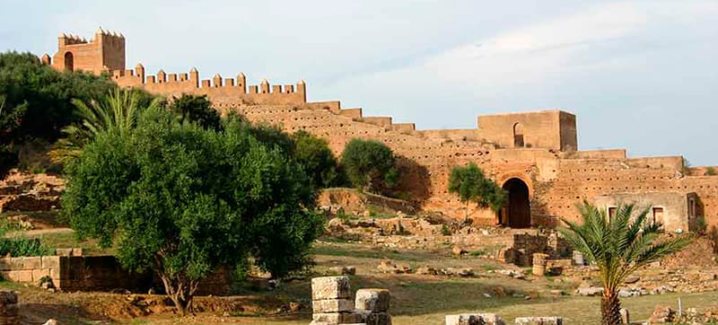 Car Hire in Tangier
