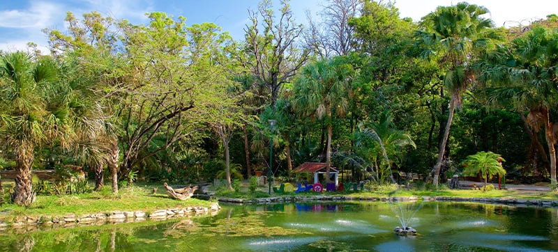 Car Rental in Tuxtla Gutierrez
