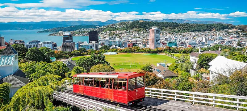 Najam Automobila u Wellington