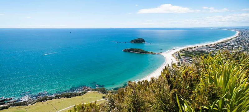 Car Hire in Tauranga