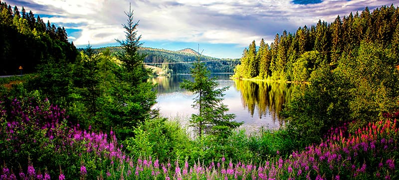 Car Hire in Kramfors