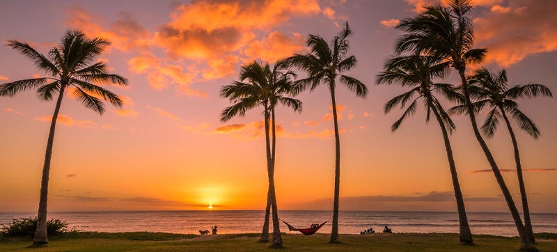 Noleggio Auto a Honolulu