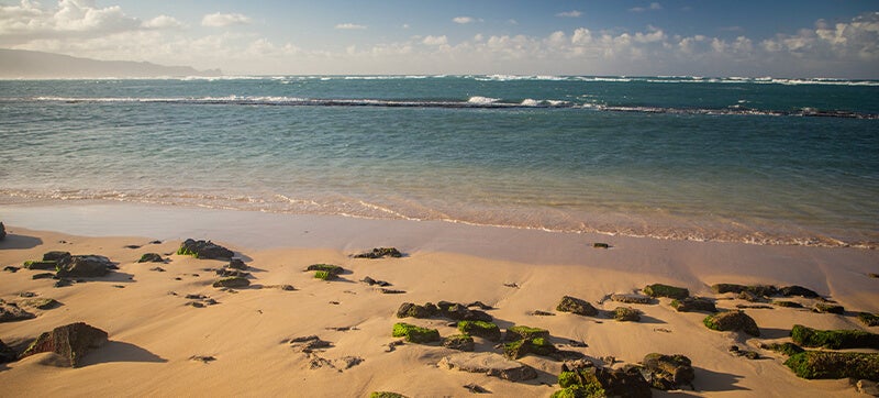 Autohuur in Kahului