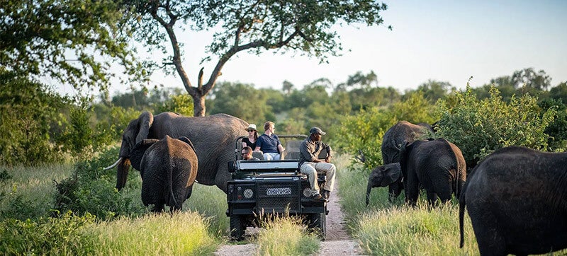 De ce să închiriezi o mașină în Kruger Mpumalanga?