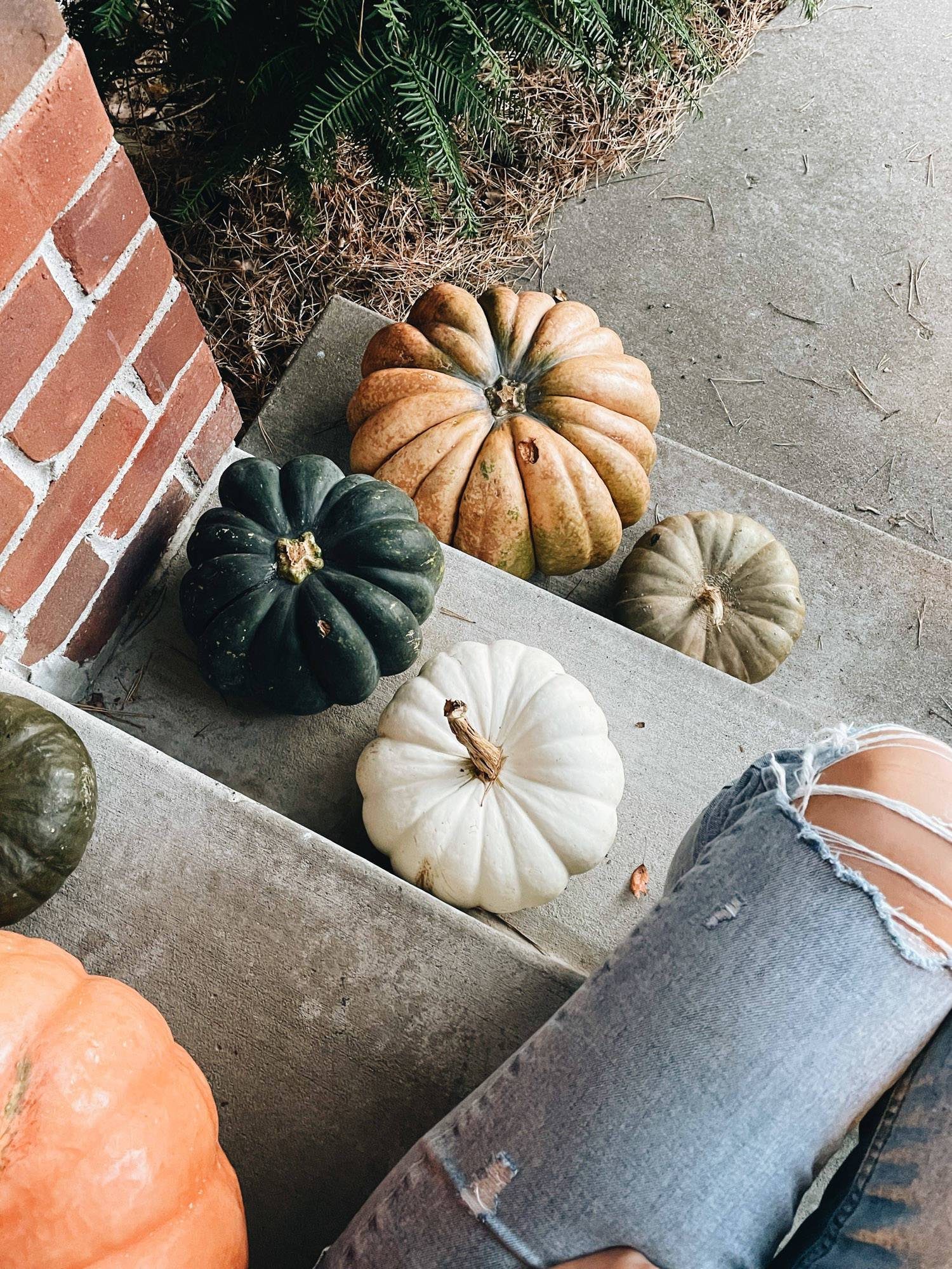 Woman sitting on steps with pumpkin. Woman has ripped jeans. 